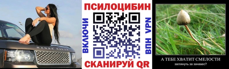 Галлюциногенные грибы Psilocybine cubensis  даркнет наркотические препараты  Вятские Поляны 
